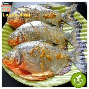 

Ikan Bawal Tawar Bumbu Kuning Siap Masak - 1Kilogram