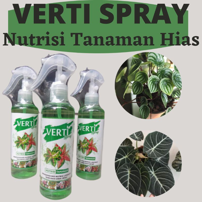 Verti Spray Pupuk Untuk Bonsai Serut, Pupuk Bonsai Agar Berbunga