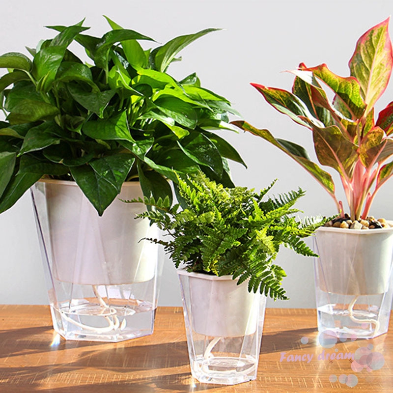 Pot Bunga Tanaman  Dengan  Model Penyiram Otomatis Dan Warna 