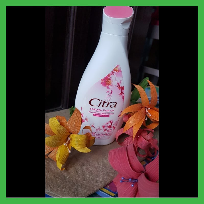 NEW CITRA SAKURA FAIR UV HAND BODY LOTION 250 ML