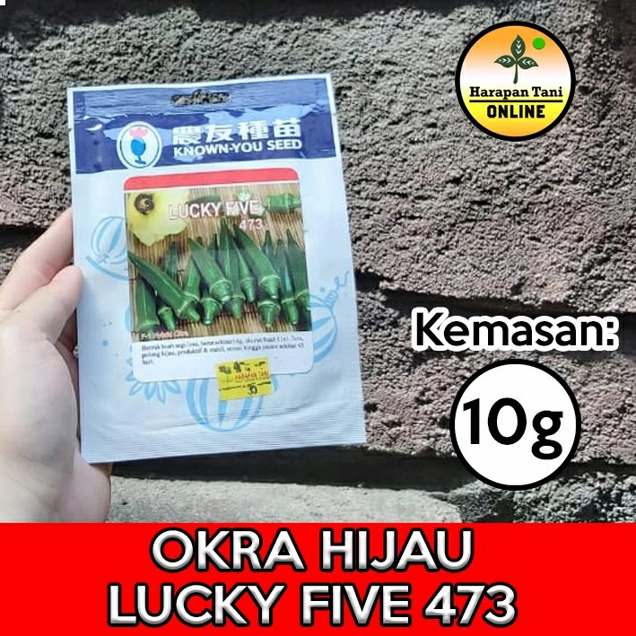 Lucky Five 473 10g | Okra Hijau | Known You Seed