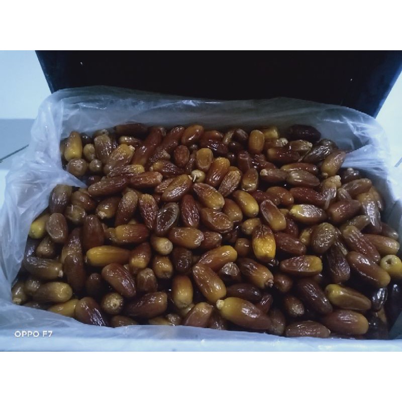 

kurma tunisia madu