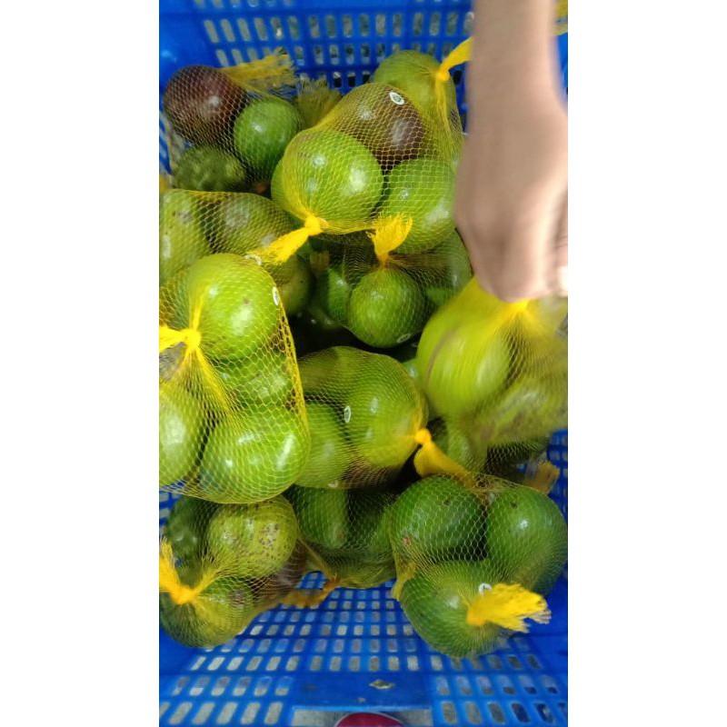 

alpukat mentega