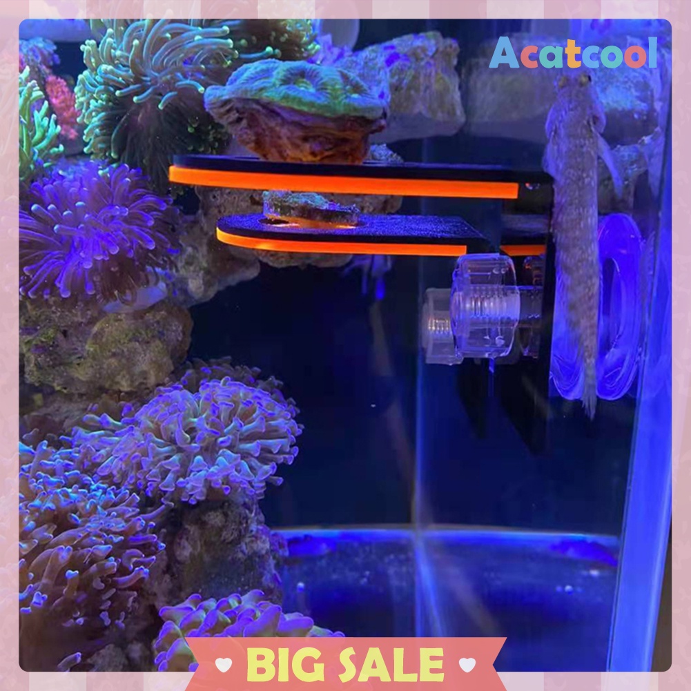 Fish Tank Fluorescence Coral Frag Rack Reef with Plugs Suction Holder Stand