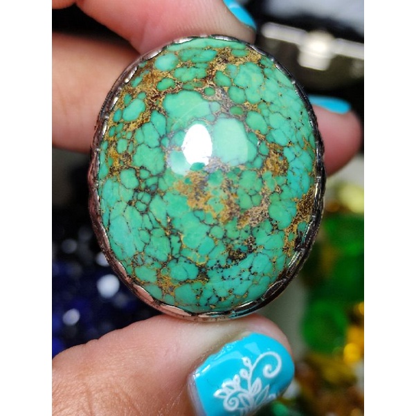 Pirus Persia Jumbo High Quality