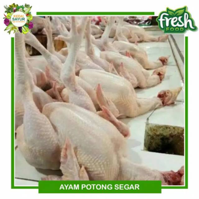 Ayam Potong Segar Bogor Bisa Request Dada Aja Paha Aja Atau Campur Per Kilo Indonesia