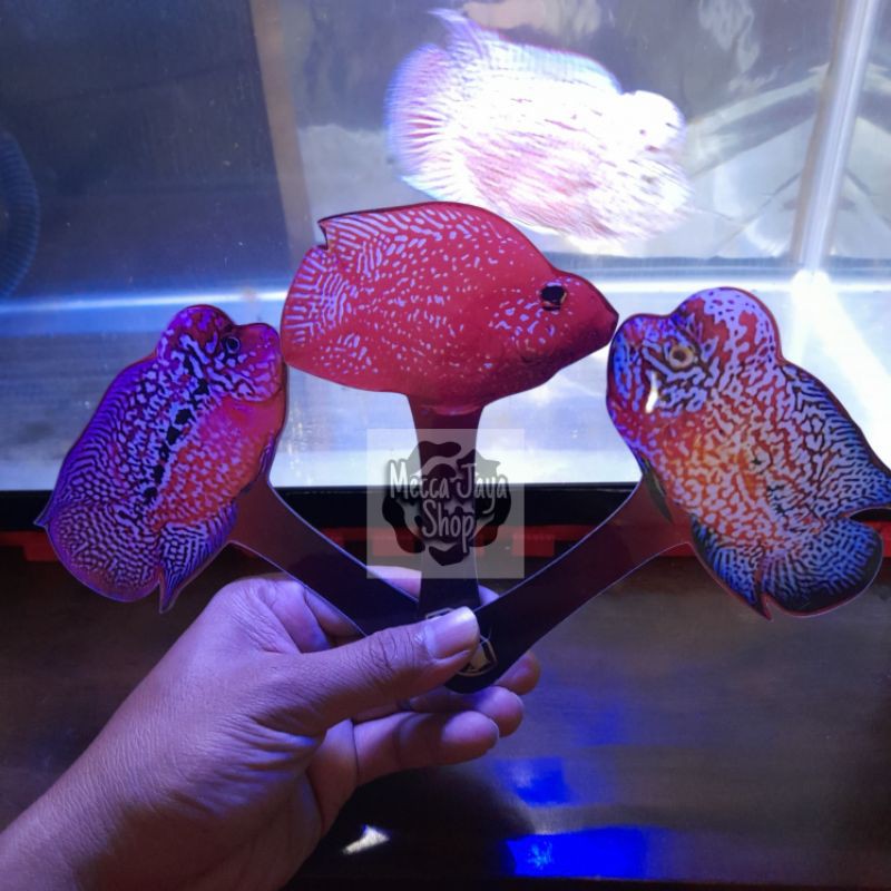 Wayang Ikan Louhan / Perrot , Pengganti Untulan (Bahan Acrylic)