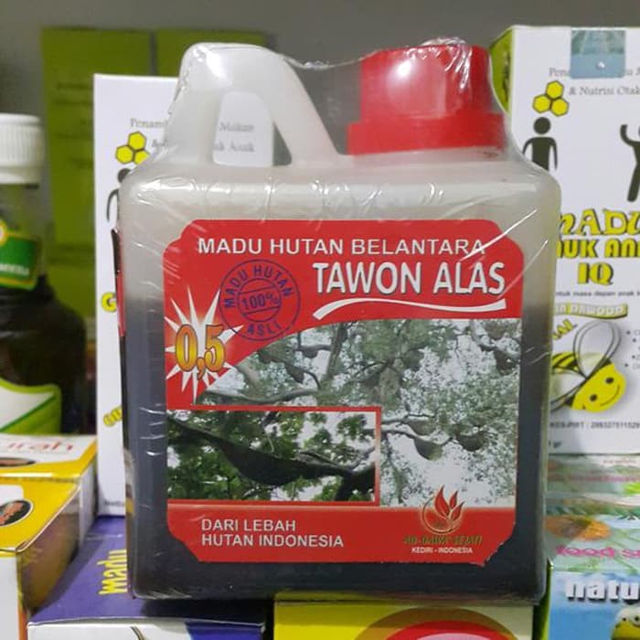 

Madu Hutan Belantara | Madu Tawon Alas 500 gram| Madu Pohon Sialang