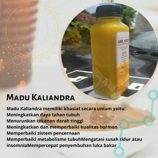 

madu kaliandra