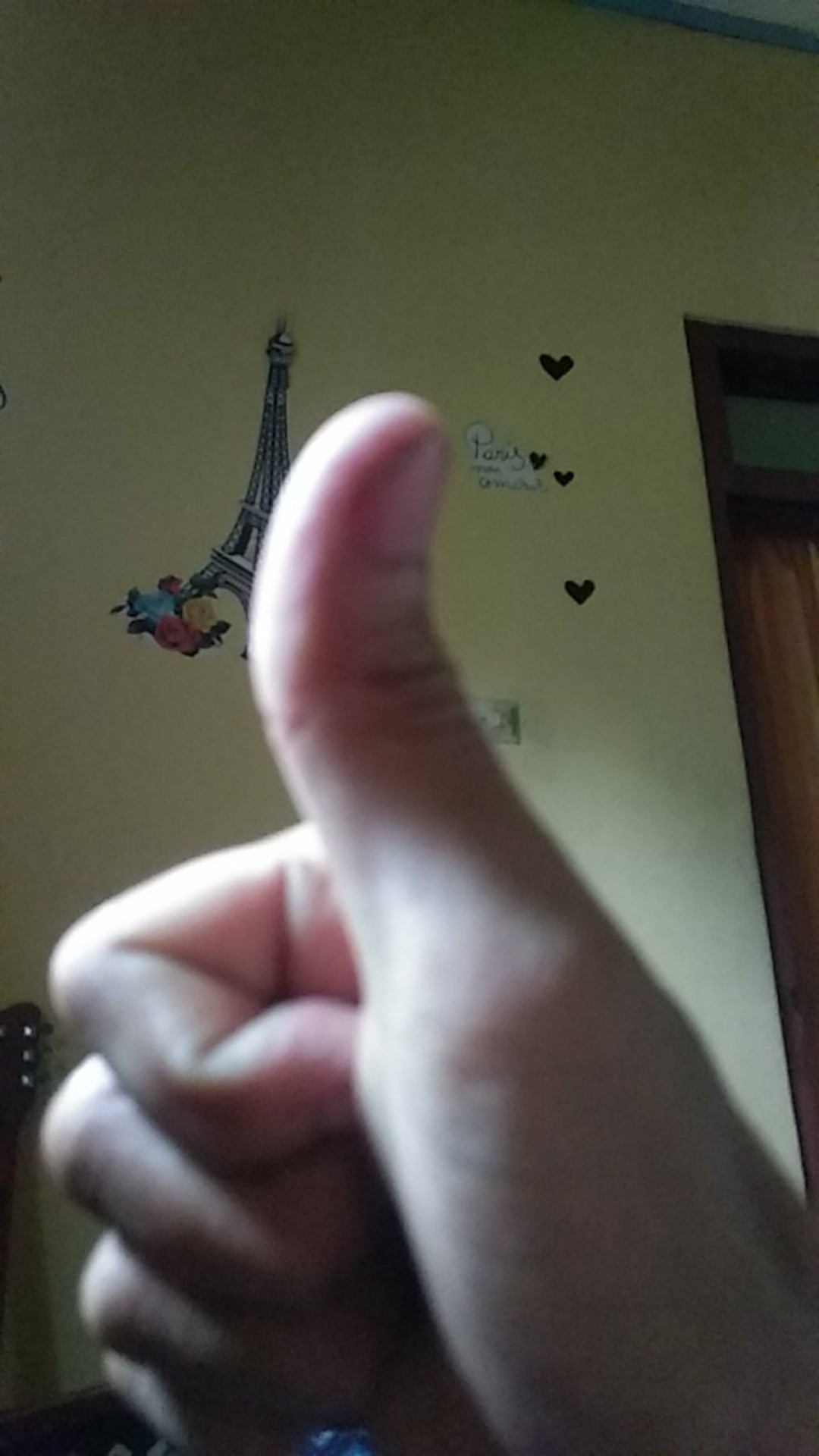 Toples Cupang Tanpa Tutup Uk 2 Liter Isi 30pcs