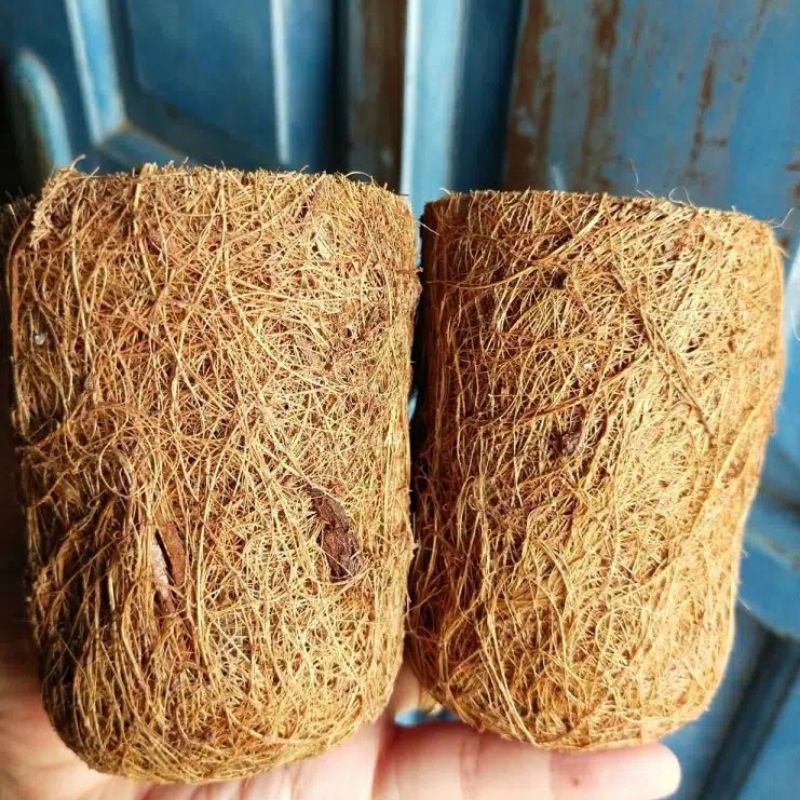 POT MINI POT BIBIT ANGGREK SABUT KELAPA POT VANDA POT BULAN POT TANAMAN