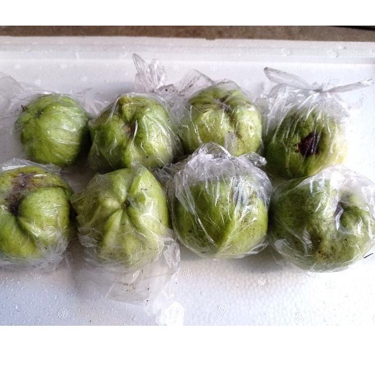 

㊨ Jambu kristal mini 1kg ㅨ