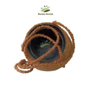  POT  SERABUT  KELAPA  COCOFIBER 13 cm MODEL  KOKEDAMA BESAR 