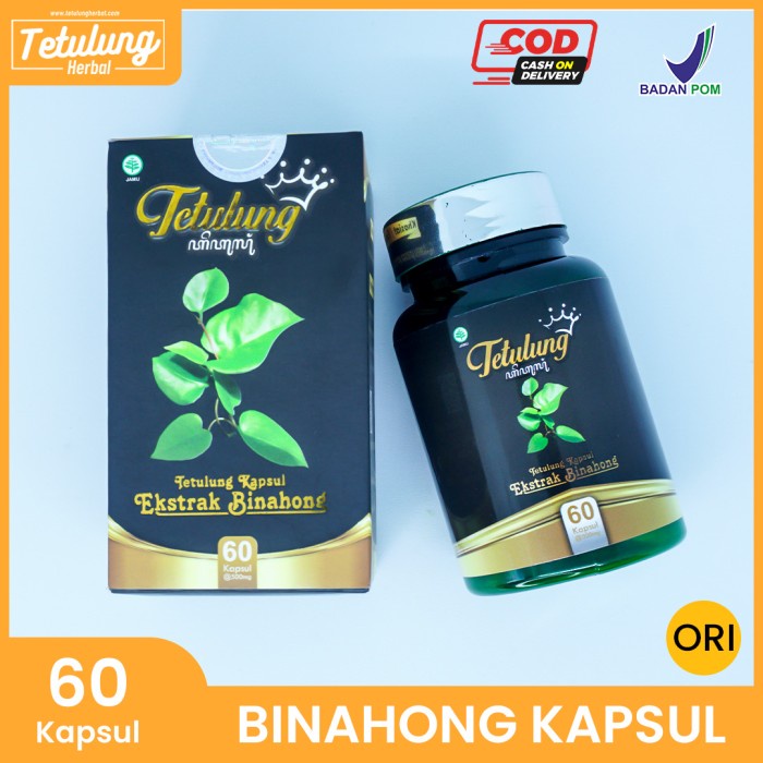 

Kapsul Binahong Obat Herbal Untuk Kulit Badan Gatal Bintik Merah BPOM