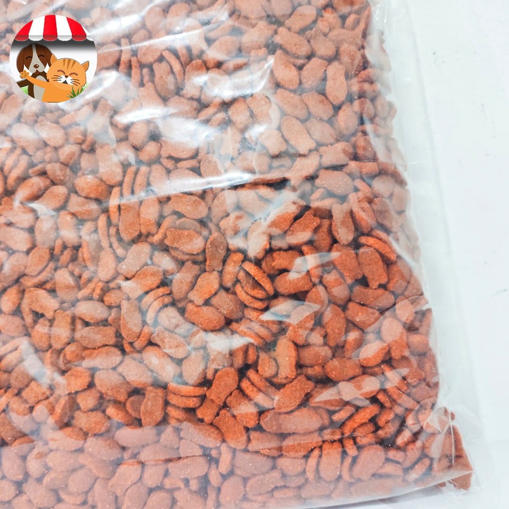 Cleo Adult Salmon Repack 500gr Dry Cat Food Makanan Kucing Dewasa