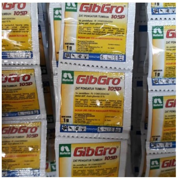 GIBGRO 10 SP 1 GRAM PER SACHET ZPT PENYUBUR PADI GABAH JAGUNG | Gibro 20 SP Panen NickShop