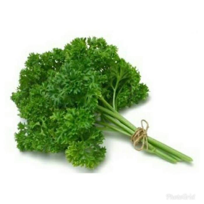 

Parsley