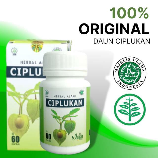 KAPSUL CIPLUKAN / HERBAL BUAH CIPLUKAN / CIPLUKAN / KAPSUL HERBAL / BAHAN HERBAL ALAMI 100%