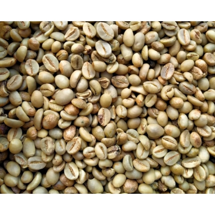 Green Bean Robusta Biji Kopi Mentah Asli Lereng Lawu Jawa Timur 1 KG