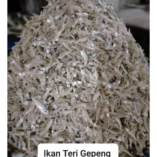 

Teri Gepeng