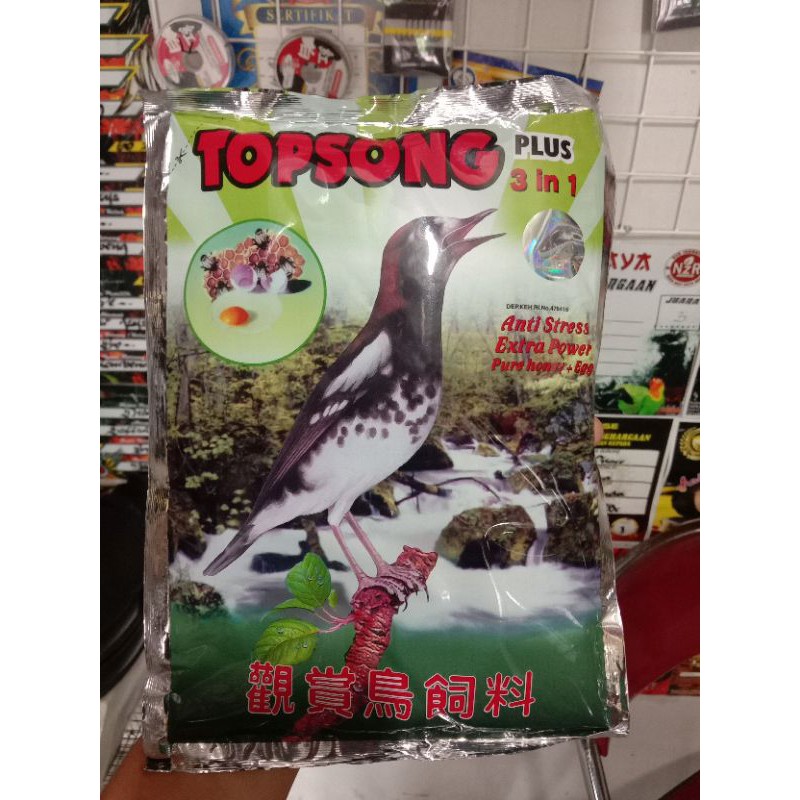

topsong coklat