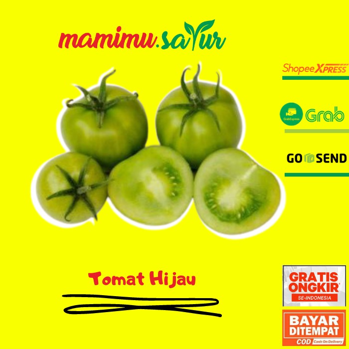 

TOMAT HIJAU SEGAR TOMAT LALAP TOMAT IJO LALAP TOMAT LALAPAN 250 GR TOMAT 500 GR