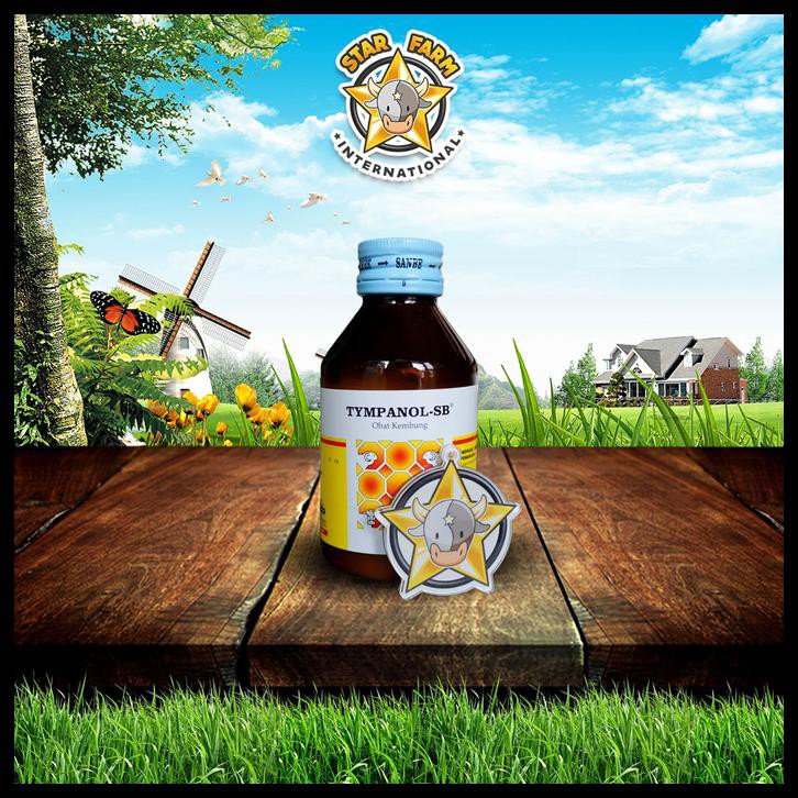 Ready Stock Tympanol 100 Ml Sanbe