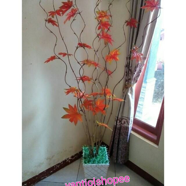 Bunga sudut bambu cendani