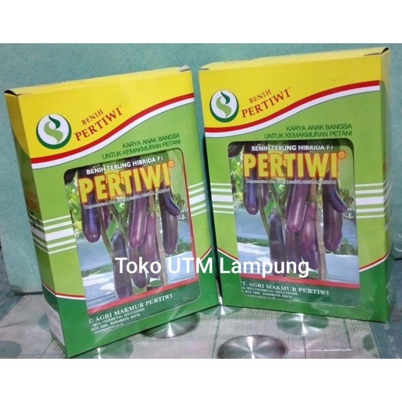BENIH / BIBIT TERUNG PERTIWI 5 GRAM