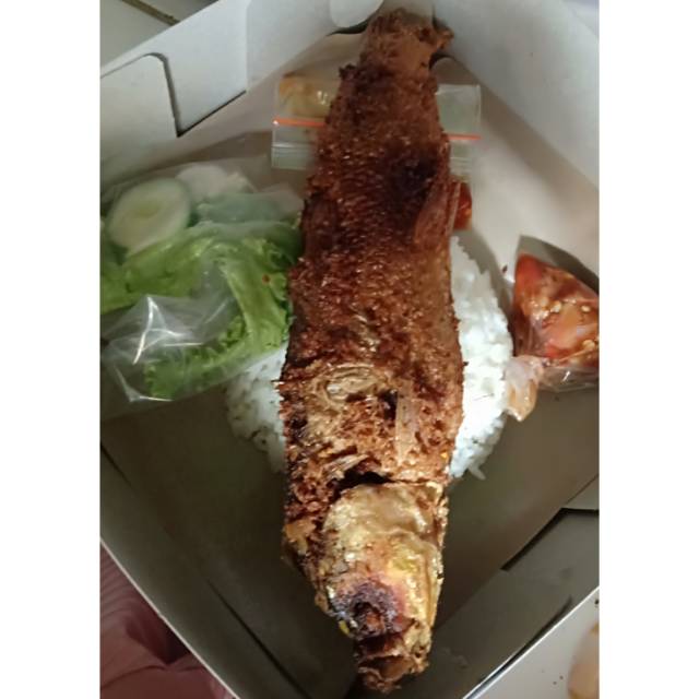 

Paket Nasi Bandeng Letoy