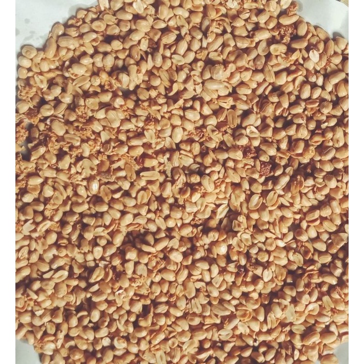 

SH Kacang Bawang 1 Kg