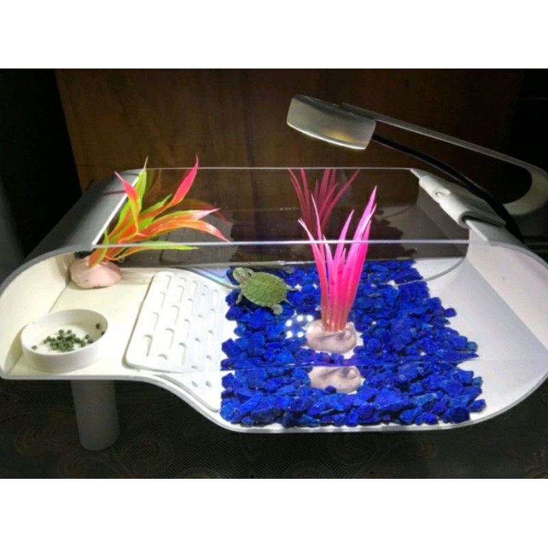 aquarium kura kura lengkap lampu LED dan hiasan double transparan