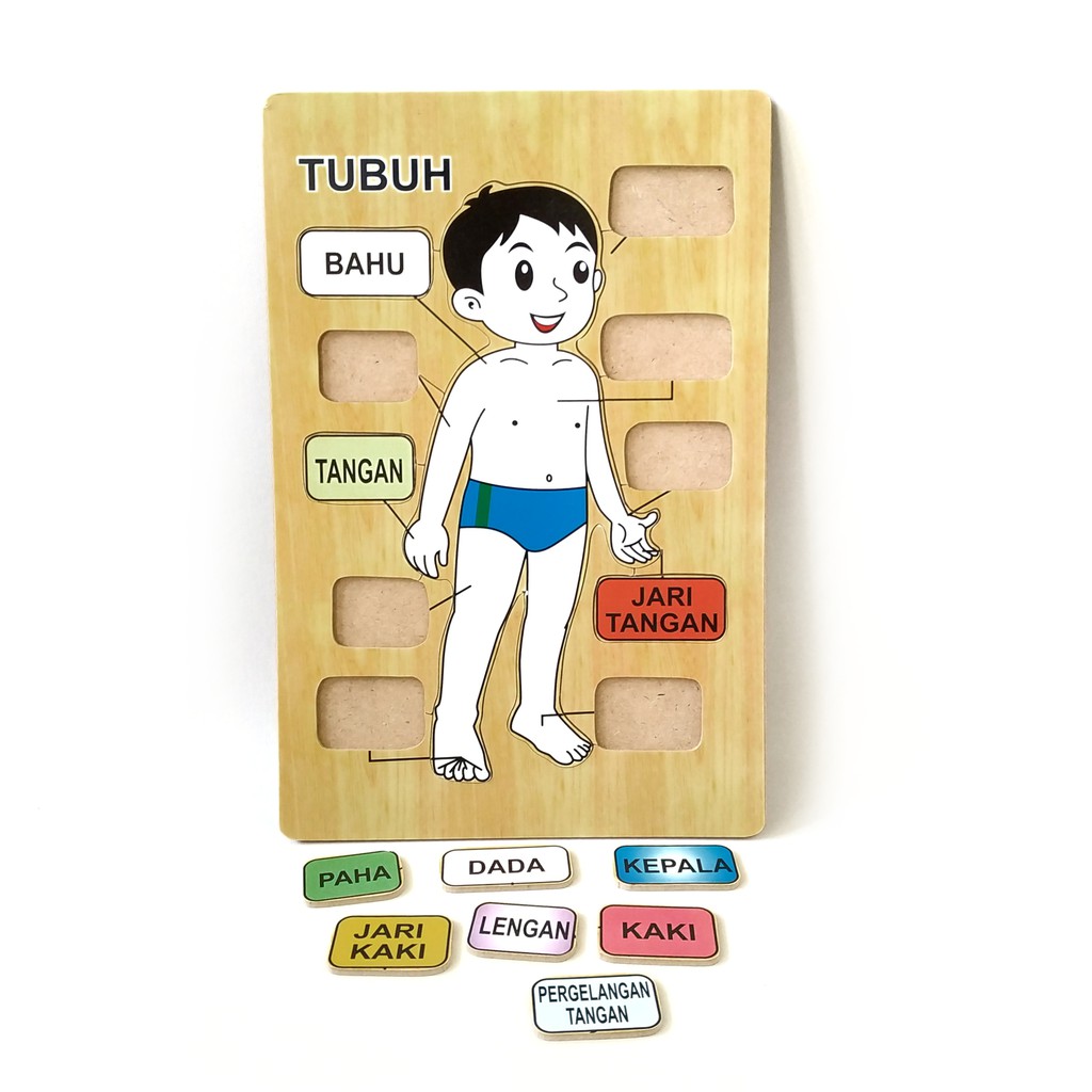 Puzzle Kayu Bagian Tubuh Laki-Laki