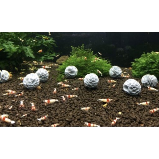 baby bee shelter 5pcs / shrimp shelter