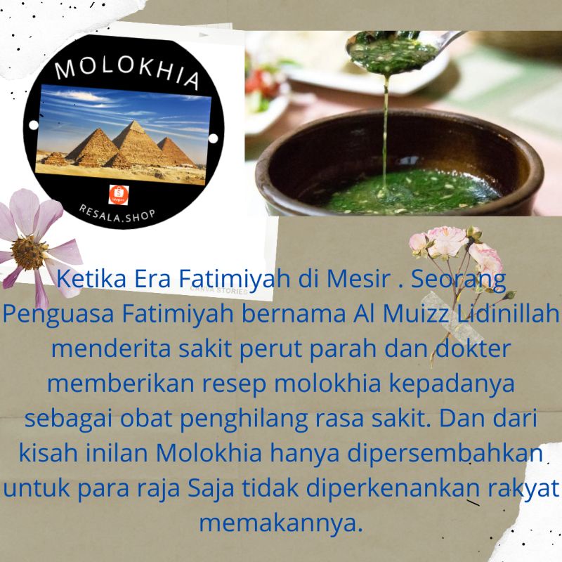 

GREEN VEGETABLE MOLOKHIA ORIGINAL (Molokheya kering)