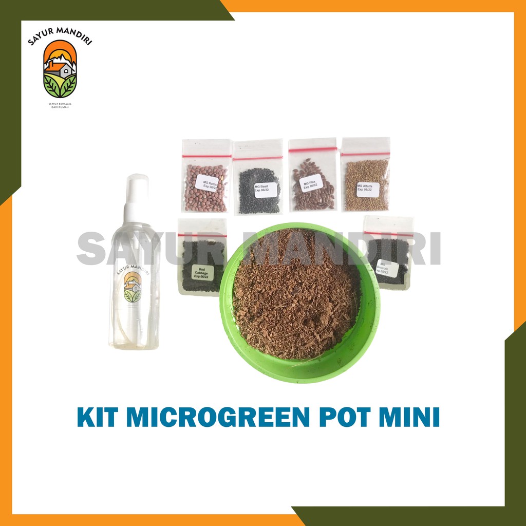 Kit Microgreen Pot Mini Lucu nan Cantik