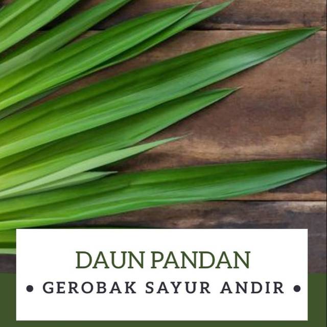 

Daun Pandan /ikat