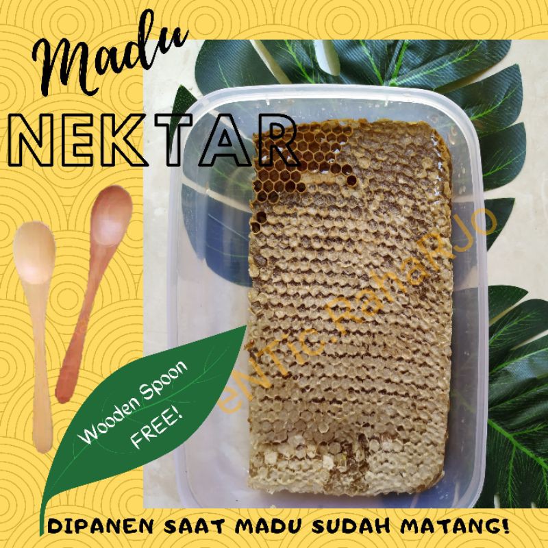 Asli Madu Sarang Nektar / Madu Sarang Matang / Sarang Lebah Mellifera 250gr &amp; 500gr Murni