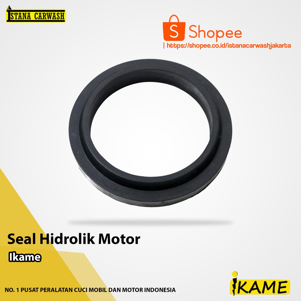 Seal Hidrolik Motor Ikame