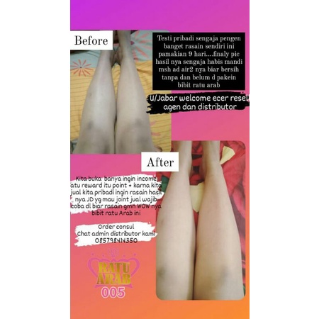 bibit pemutih ratu arab