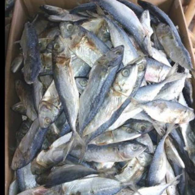 

Ikan Asin Kembung Kecil