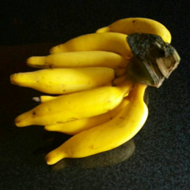 

(COD) pisang manis sempurna