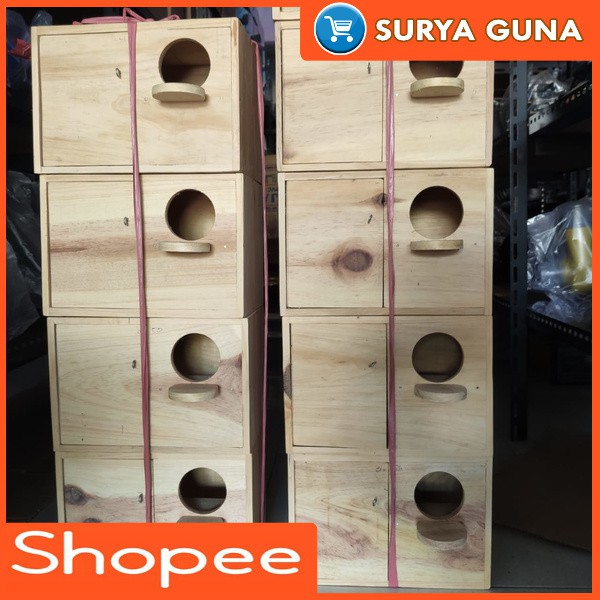 glodok lovebird pintu depan tempat ternak burung lovebird