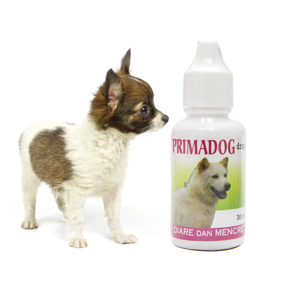 Prima Dog 30ml Obat Diare dan Mencret Anjing Primadog Tetes Cair 30 ml