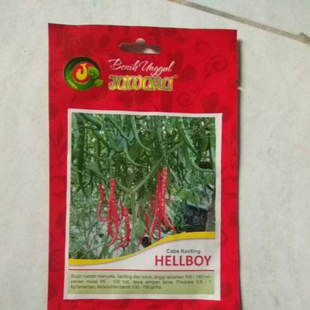 Bibit Cabe Keriting Hellboy Isi 5 Gram | Benih Cabe | Bibit Cabai Keriting | Bibit Unggul