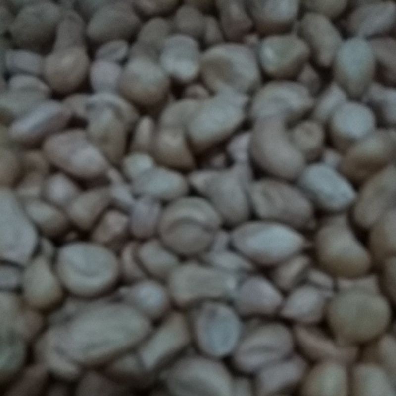 

Kacang tanah