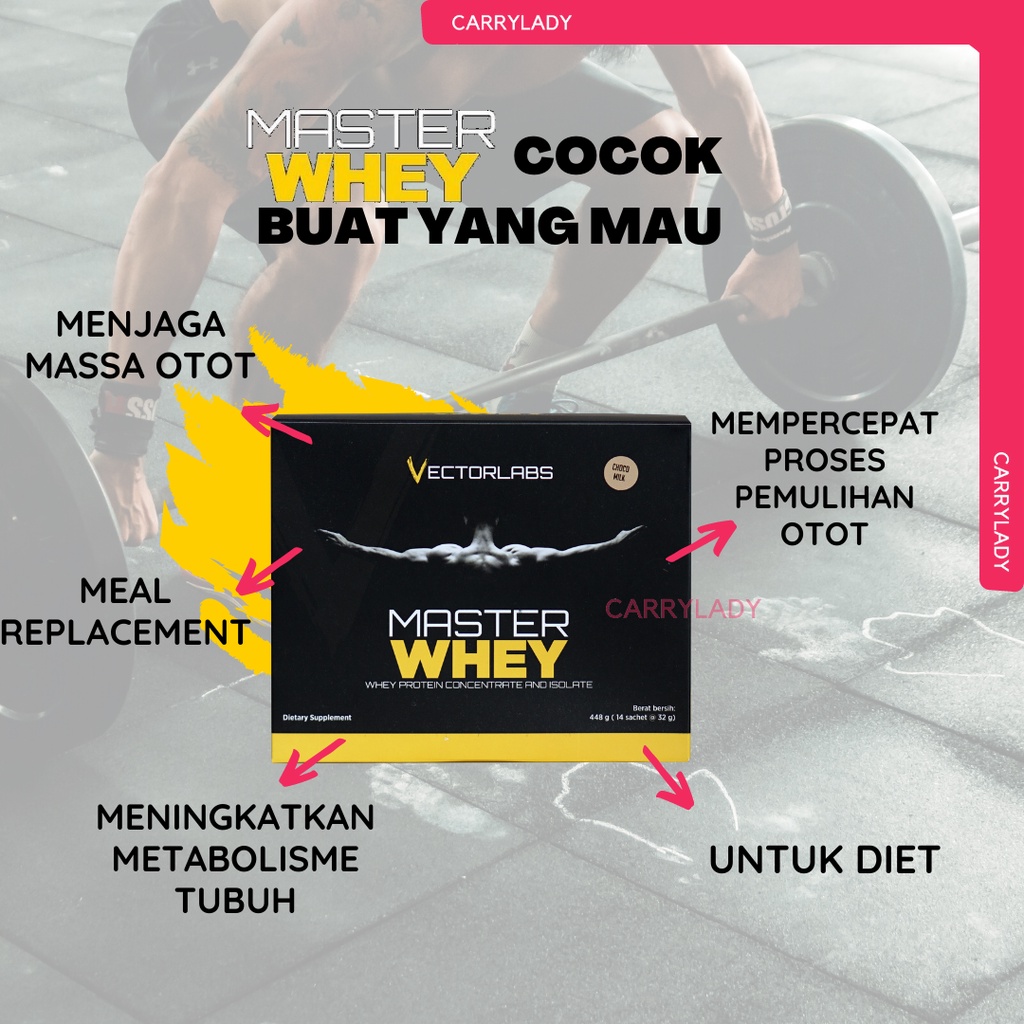 VECTORLABS MASTER WHEY 1 BOX 14 SACHET SASET 448 GRAM GR 1 LBS VECTOR LABS VL ORIGINAL MURAH GROSIR BPOM HALAL 1LBS MASTERWHEY