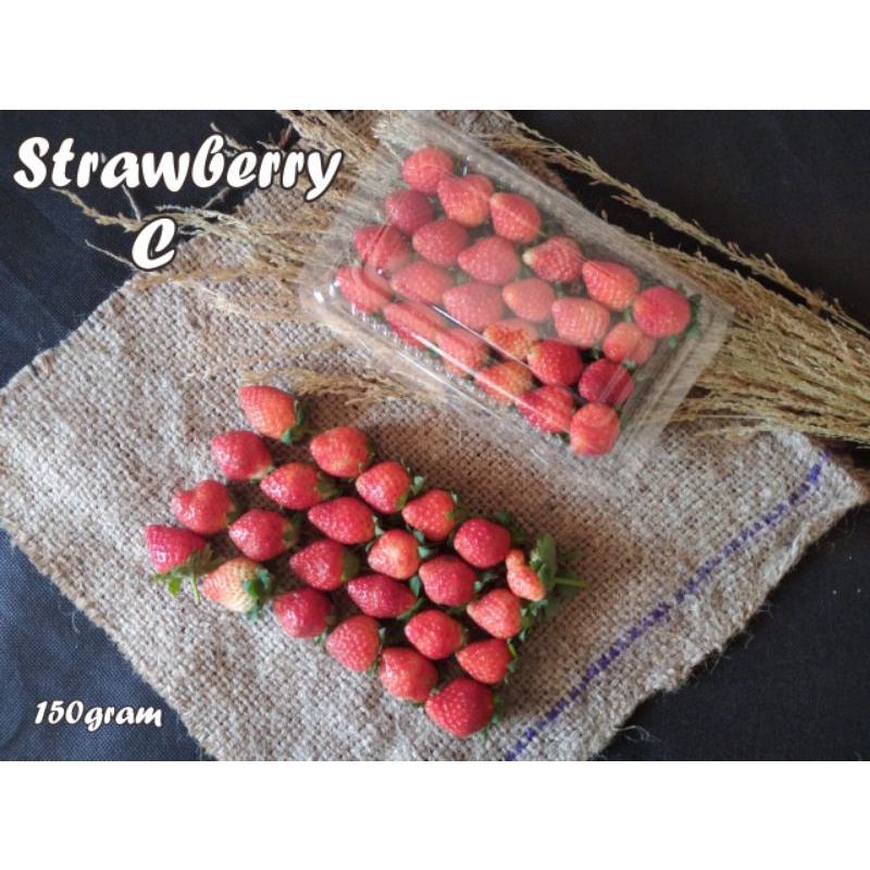 

Strawberry Grade C150gr,strawberi,stroberi segar, fresh,harga murah, grosir, berkualitas