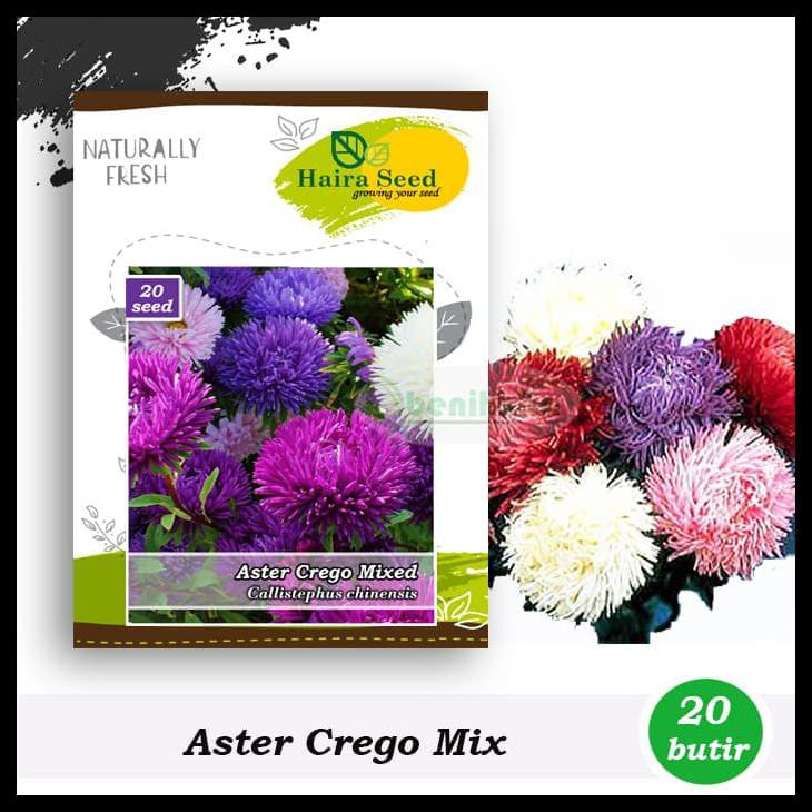 BENIH-BIBIT BUNGA ASTER CREGO MIX (HAIRA SEED)