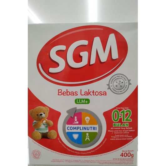 

SGM LLM